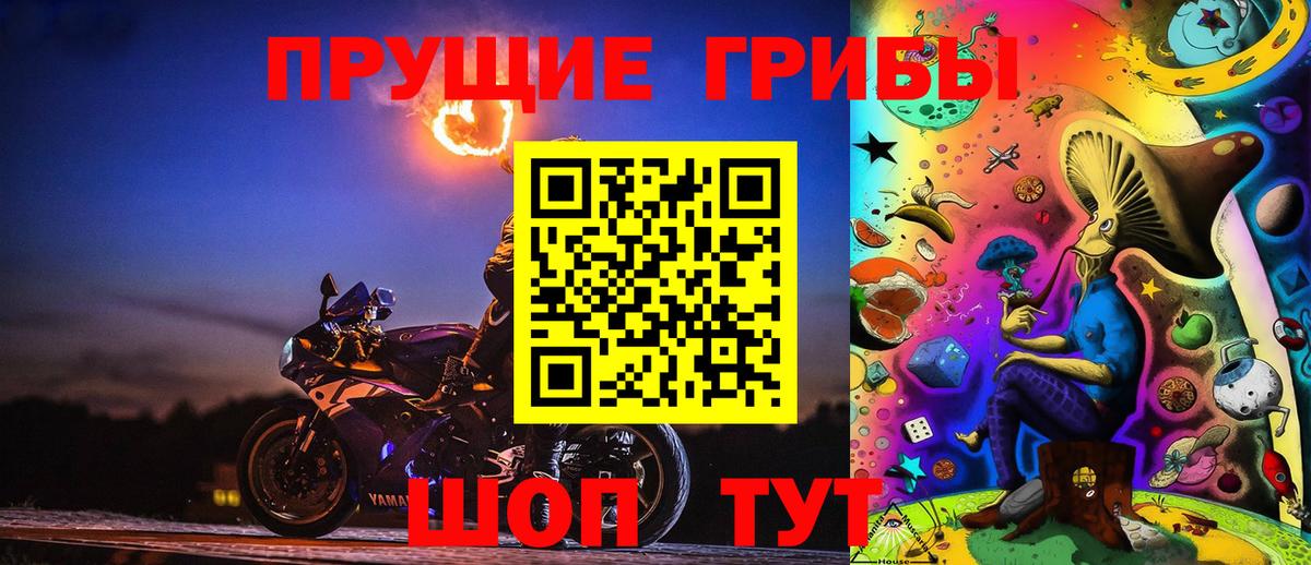 Галлюциногенные грибы мицелий  продажа наркотиков  Владимир  Вход с VPN 