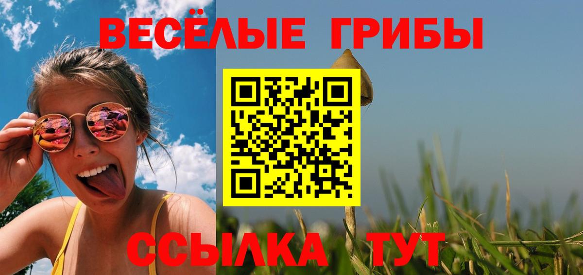 Псилоцибиновые грибы мухоморы Владимир